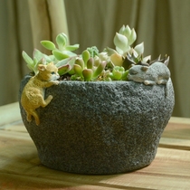 Flower Pot Creative Copper Money Grass Hydroponic Duckling with personality Decorative Imitation Stone Mortar Multi Meat Potted Gift Mid-Autumn Festival