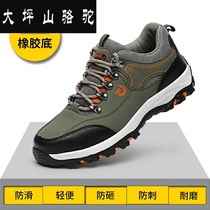 Large Terrace Mountain Camel Labor shoes Mens anti-smashing puncture-proof Breathable Light Odor-proof Site Soft Bottom Safe ladle Head