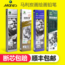 Marley charcoal pen C7300 carbon drawing pencil 14B Drawing sketch pencil Soft neutral Hard sketch sketch pen Adult painting drawing tools Beginner Student art supplies Professional charcoal pen