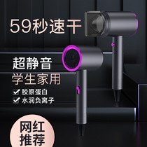 Cross Border Home Hammer Electric Blow Machine Blue Light Negative Ion Hair Care Hair High Power Blow Cylinder Gift Print