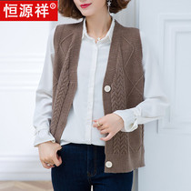 Hengyuanxiang autumn new wool knitted cardigan vest womens loose retro waistcoat horse clip outer wear sweater jacket