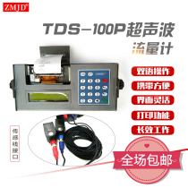 TDS-100P portable ultrasonic flowmeter Built-in printer sales