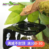 reptizoo reptile water basin food basin ciliary Horn Day running Guard feeding platform beetle landscape gougong lizard water basin