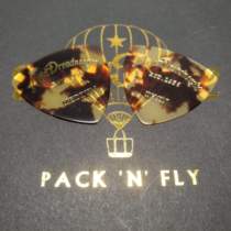 Japanese-made Aria Aria electric Wood folk guitar bass turtle big triangle sound string color feel