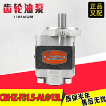 Forklift gear oil pump CBHZ-F31 5-ALΦ13L engine high pressure hydraulic pump Heli Diesel