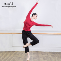 Modern dance dance suit Womens top Long-sleeved modal classical dance body dance practice suit round neck suit