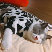 Cat clothes Autumn and winter clothes Pet hairless cat cat warm cute British short blue cat Sphinx muppet cat clothes