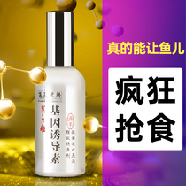 Fishing small medicine crucian carp wild fishing carp fish fish fish additive grass carp black pit Herring gene neuroinducer