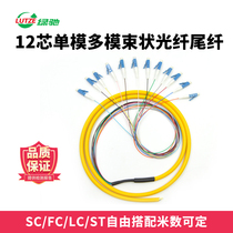 LUTZE green Chi 12-core bundle single-mode pigtail LC FC SC ST 12-core bundle single-mode fiber jumper optical fiber cable telecom class 1 5 meters can be customized
