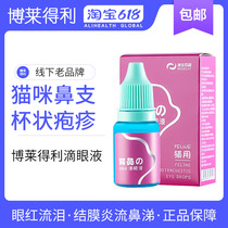 Braidley eye drops cat nose cat herpes calicivirus nose squeak cat nose nose drops cat rhinitis