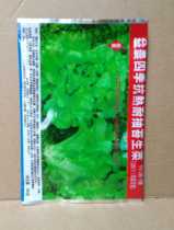Hong Kong Cai Xingli lettuce seed Yi Nong four seasons moss-resistant lettuce 3801 lettuce (25g) High yield and high quality