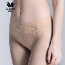 Wacoal cotton ammonia lace skin-friendly comfortable incognito mid-waist triangle womens underwear WP5619