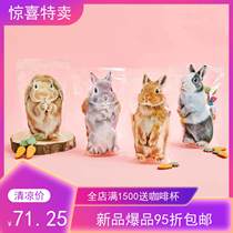 Spot sale Japan Fenlixi dream YOU MORE standing rabbit clip chain sealed bag ten pieces of the same style