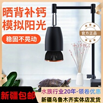 Turtle Cylinder Sunburn Back Light Uvb Light Climbing to Ceramics Heating Light Bulb Insulation Full Spectrum Photo Uva Tonic Calcium Sun Shade