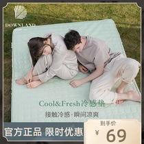Downland cold feel mattress soft cushion ice silk mat washing pad thick single floor protection pad tremble sound same