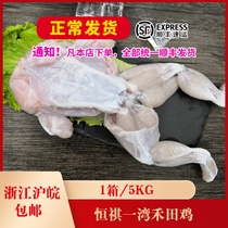 Hengqi Yiwan Hetian chicken 1 box 5KG fresh frozen field chicken frog bullfrog leg delicious bullfrog