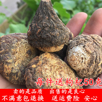 Marka dried fruit Yunnan Lijiang Black Marcurry dried fruit dried slices the whole 500g natural Sulphur Free Brew for men and women nourishing