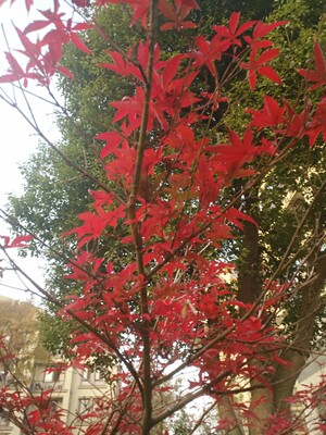 穿着真的很舒服，一定不变形，也没有褪色，。