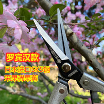 Sagawa Tian Japan imports SK5 steel high-quality gardening orchard picking fruit sparse fruit flower art cutter