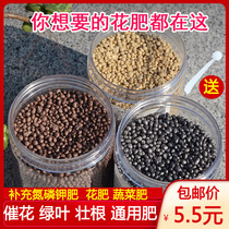 * Meat special type fertilizer meat beep nutrition slow release fertilizer potted fertilizer universal home flower fertilizer