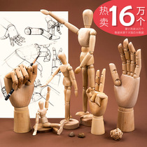 Barence Comics 12-inch Wooden Model 30cm Wooden Man Sketching Puppeteer 10-inch Puppeteer Puppeteer Puppetry Arthodenerate Arthropable Arthropod