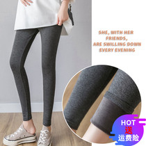 Pregnant woman pants winter plus suede thickened without pouring down pregnant woman beating underpants autumn winter warm cotton pants pure color 100 hitch pants