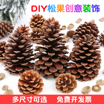 Natural horsetail pine fruit handmade diy dried flower branches pine Taisson material kindergarten spring festival decoration ornaments