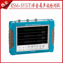 Wuhan Zhongyan RSM-SY5(T) non-metallic acoustic detector ultrasonic flaw detector crack depth detection