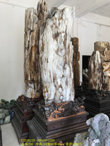 Burmese tree jade ornaments ice seed Debai Wood fossil silicified wood raw stone ornamental living room tabletop ornaments 1205