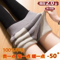 Wool cotton pants womens outer wear winter plus velvet thick leggings high waist elastic stovepipe northeast extra thick super thick warm pants