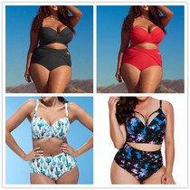 Foreign trade original single swimsuit female European and American large size large chest steel bracket section high waist cover belly thin split bikini hot spring outfit