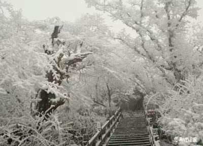 不错不错  挺好的