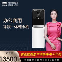 Hansden water purifier engineering business net drinking all-in-one machine Ice and hot villa mansion direct drinking HSD-02-100G