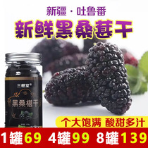 Chang Hailong 4 cans 99 yuan Sanmaotang authentic Xinjiang black mulberry dried grains large sand-free 120g cans sweet and sour and juicy