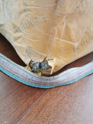 亲身使用分享艾可麦乳胶床垫怎么样？说说感受怎么样？