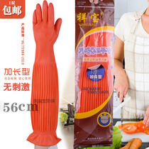Rubber gloves dishwashing gloves extension jia zhang kuan restaurants 45cm Ms. vegetables Health dedicated cuff 56cm