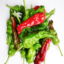 (Normal hair) 3kg (spicy) thin skin pepper fresh vegetables wrinkled pepper screw Green red pepper