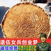 High-quality saline-alkali land sunflower flower plate whole Chinese herbal medicine dried sunflower flower seed plate powder Jilin 500g