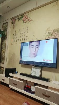 目前看来客厅KTV用Sansui山水 91W电视音响怎么样，真的适合K歌吗