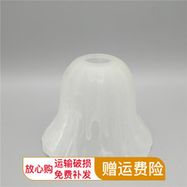 Frosted glass lampshade shell restaurant simple modern pickling creative personality bar lamp dining chandelier lighting accessories