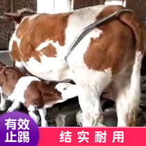 Cattle stop kick stick retractable Animal equipment cow anti-kick clip stop hoof stick stick bull dont kick cow vest adjustment anti-kick