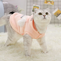 Cat clothes Winter warm two-legged clothes Pet cat clothes Plush sweater Cute funny cat supplies