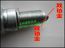 Original Japanese imported NGK Spark Plug double platinum start 10*19 specification Superman Lingying Fire Mouth