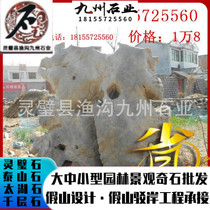 Anhui Lingbi Stone Direct Marketing Head Office Supply Lingbi Elephant-shaped View Stone Special Price Lingjing View Stone