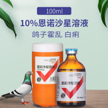 Chinese animal pigeon medicine Daquan Enrofloxacin respiratory tract pigeon medicine pigeon meat pigeon with cholera White Rale