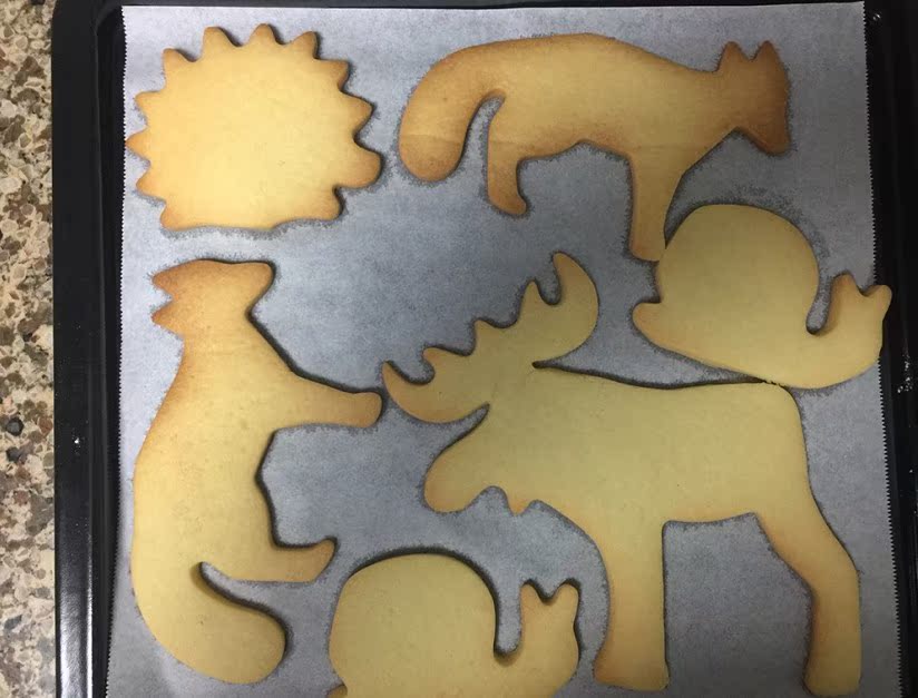 【使用评价】杜邦智能微蒸烤箱怎么样？忽悠人的吗？