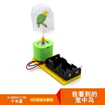 I saw the caged bird children and elementary school students diy small invention technology small production science experiment science and education toys