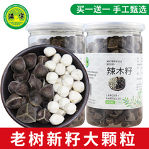 The effect of buying 1 send 1 Moringa seeds. India imported original non-1 catty edible spicy wood seeds