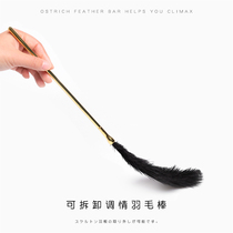 Sex toys sm flirt feather stick Caress slave girl tickle discipline Tease stick Small whip toy seduction feather
