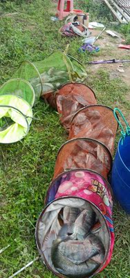 火爆的大家用化氏一味EX鱼竿怎么样，好不好用？质量靠得住吗？